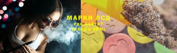 шишки Балахна