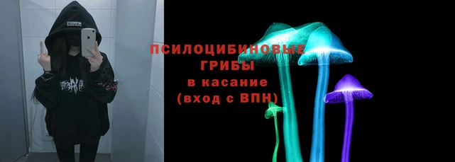 шишки Балахна