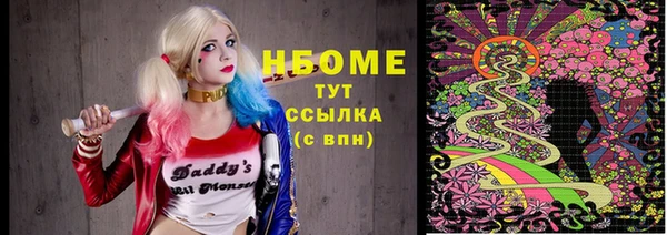 шишки Балахна