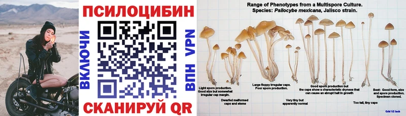 Галлюциногенные грибы MAGIC MUSHROOMS  закладки  Пестово 